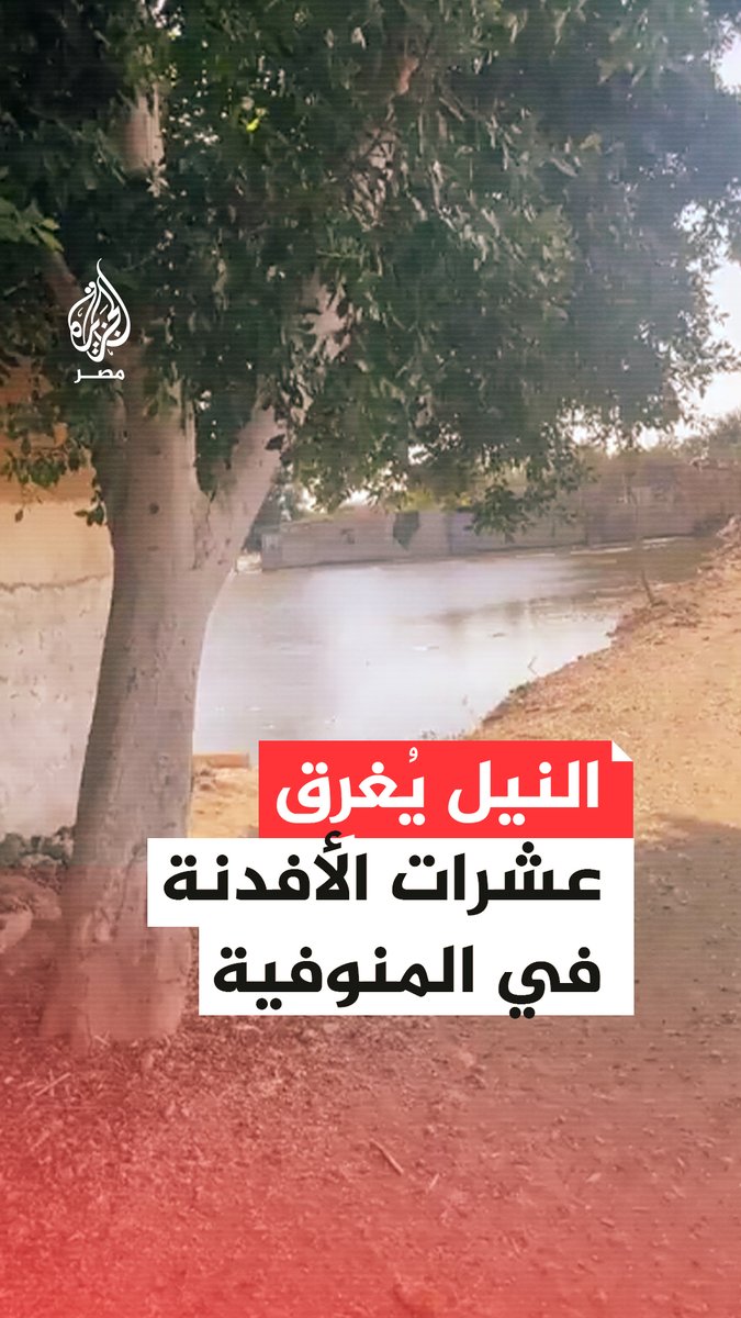 غرق 268 فدانًا من أراضي طرح النهر في #المنوفية بعد ارتفاع منسوب #النيل بشكل ملحوظ والزراعة تقول إن مواعيد الارتفاع موسمية ومعلومة مسبقًا