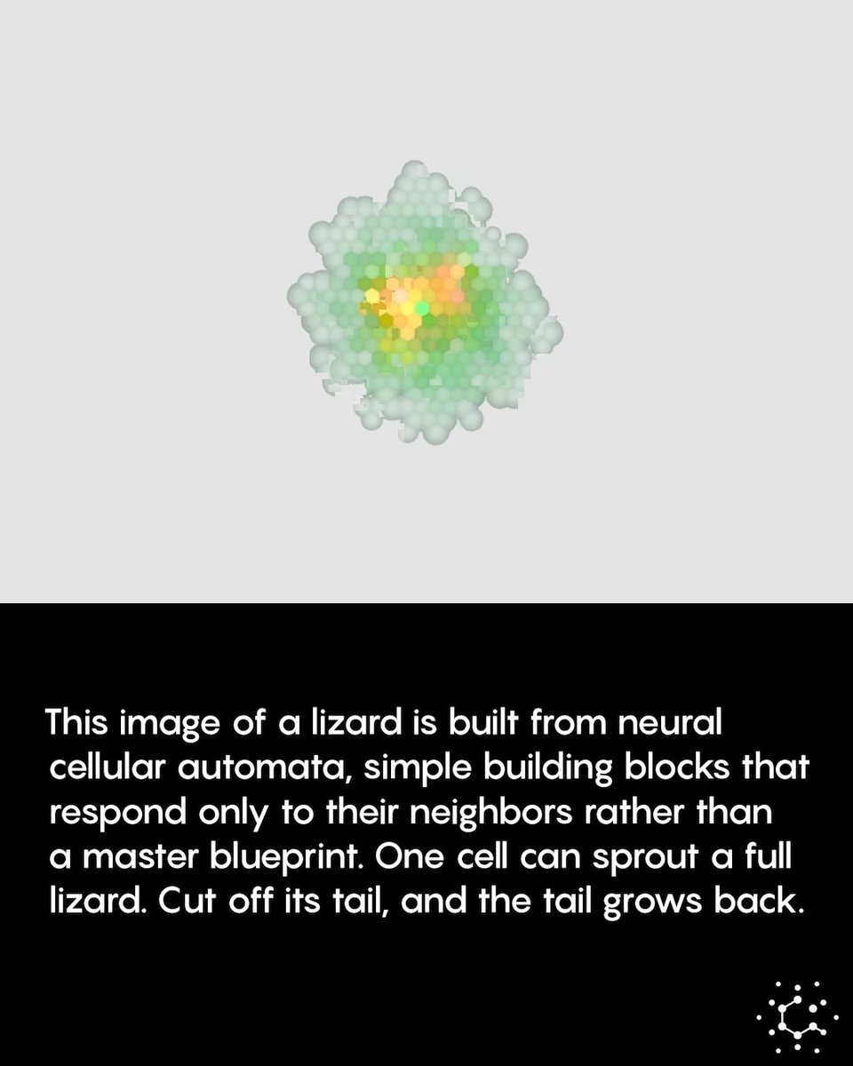 You can try it for yourself here: Read more about neural cellular automata: