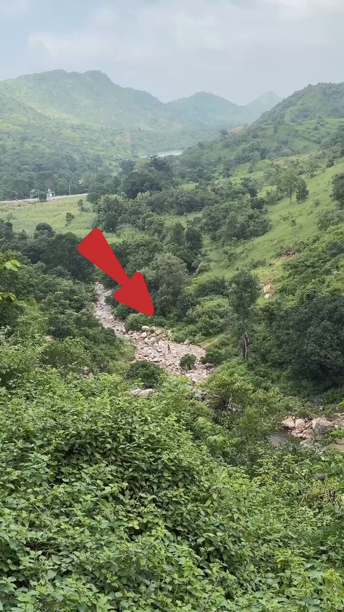 ये क्या था ससुरा मैं भी नहीं समझ पाया! सच है या फिर फेक जंगल का ये खेल बड़ा अजीब निकला!