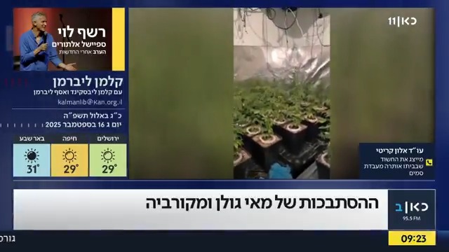 מעבדת סמים אותרה בביתה של עובדת בלשכת השרה מאי גולן, עו"ד אלון קריטי, המייצג את מור ביטון בעלה של העובדת: "היא לא הריחה" 🎙️ כאן רשת ב' | #קלמןליברמן אסף ליברמן קלמן ליבסקינד