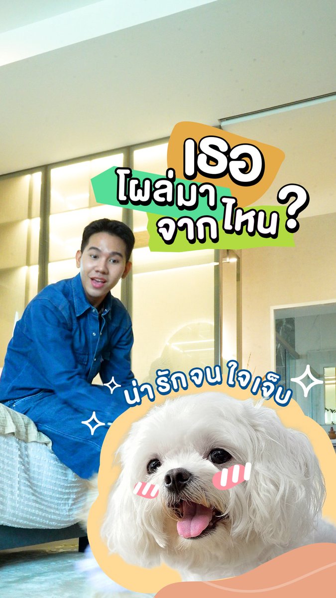 คอนเทนต์นี้...อาจจะยังน้า น้องกวนจนแต่งตัวไม่เสร็จสักที🐶 เพราะที่นี่คือบ้านที่ออกแบบมาเพื่อ "คนเลี้ยงสัตว์ตัวจริง" มีพื้นที่วิ่งเล่น ไม่ต้องกลัวเสียงดัง จัดเต็มความอบอุ่นให้ทั้งคน และเพื่อนขนฟู มาเป็นเจ้าของบ้านที่รักสัตว์เหมือนคุณเถอะ SupalaiPawty บ้านที่น้องอยู่ได้จริง