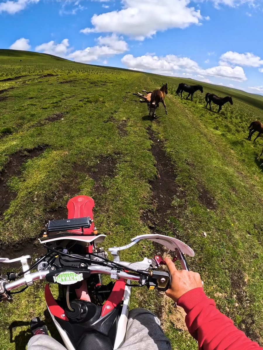 Ilyas Khasanov karma is through the roof after saving a wild horse 📈 He encountered the animal stuck in a rut + instantly knew he needed to intervene. His HERO12 Black POV earned him a $500 award after submitting the clip to #GoPro #Rescue #FeelGood #POV #Horses #Equestrian