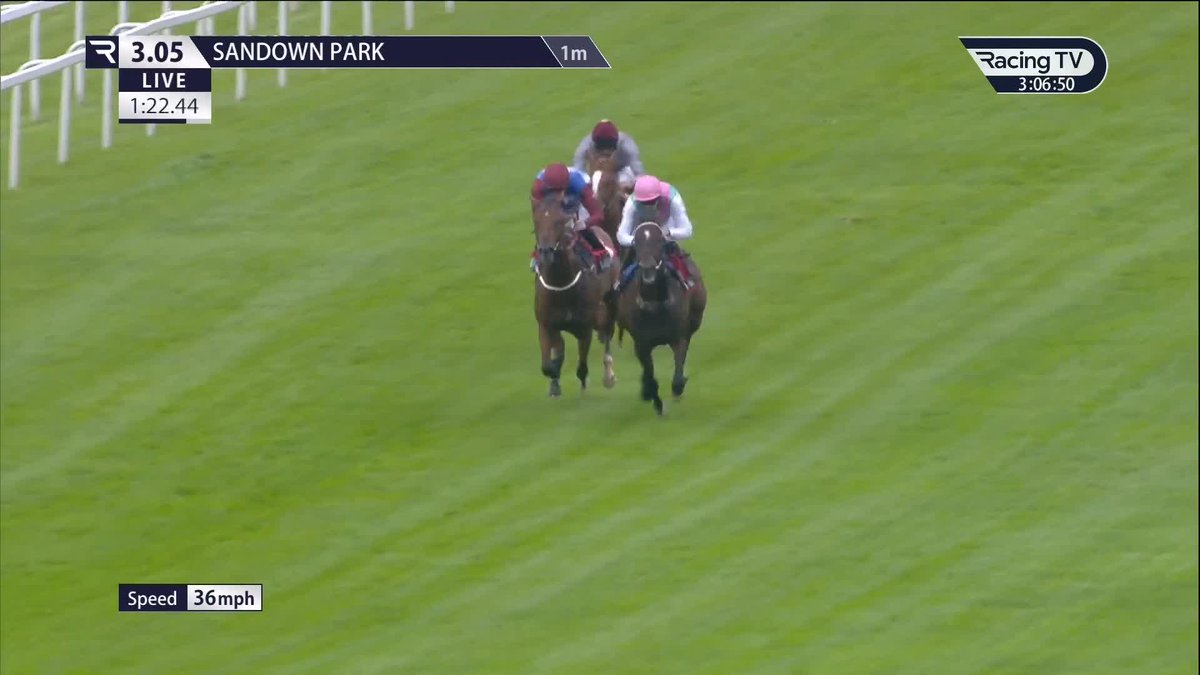 Accredit (Dubawi) opens his account Sandown Park 👇🏻