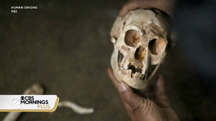 “Our history is probably closer to ‘Lord of the Rings’ than we realize”: A new PBS documentary takes viewers on a journey way back to a time when humans as we know them today were not the only ones of the species to walk the Earth. Paleo-anthropologist Ella Al-Shamahi shares some insight into the five-part “Nova” series.