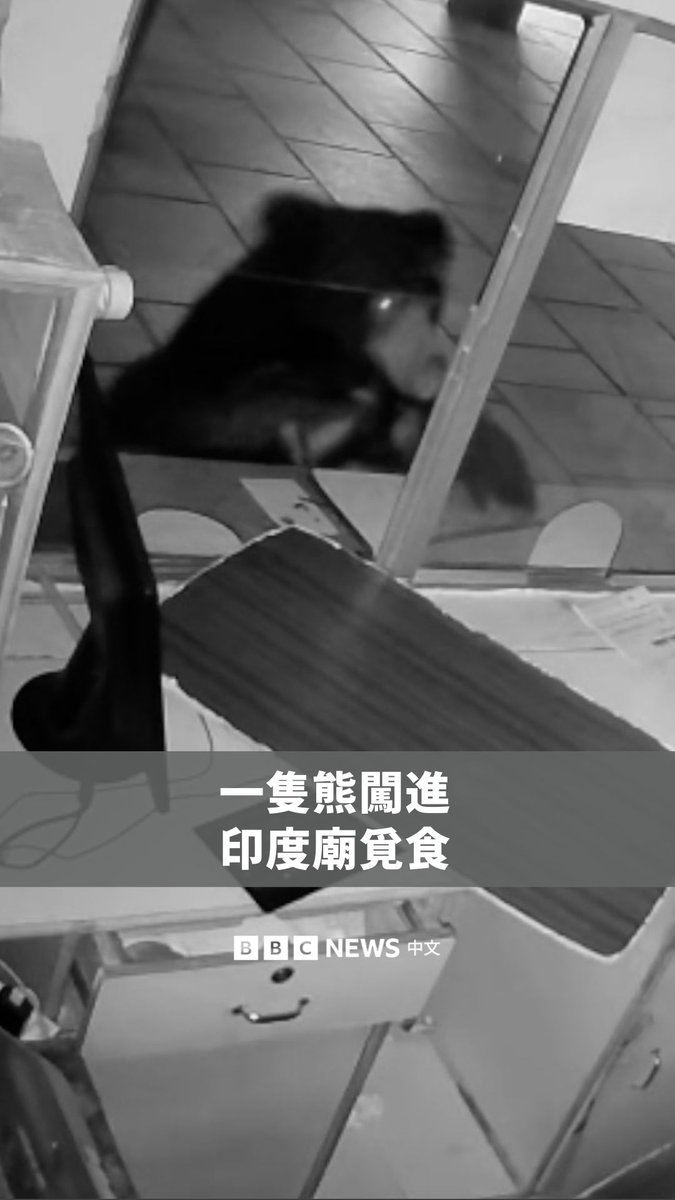 一只熊闯进一间位于印度南部泰米尔纳德邦乌堤的印度教庙，然而，因为没有找到食物，它随后就失望地离开现场。当地民众表示，近期熊闯入住宅区的频率有上升趋势。