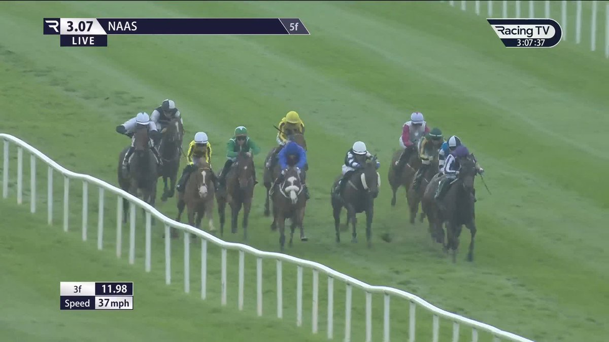 5 from 16 for Aidan O'Brien with horses in first-time blinkers in 2025 👀 Jack Cleary has now ridden three of them, with Controlled (No Nay Never) the latest second-time out at Naas Racecourse
