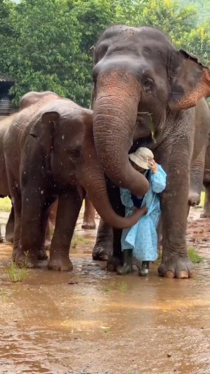 They have more humanity than humans