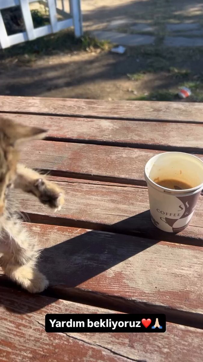 Acil destek! Konum : İzmir Şirinyer Hipodrom