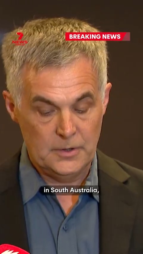 BREAKING: Optus has revealed it has suffered a deadly technical failure during an upgrade. CEO Stephen Rue says it occurred yesterday with customers in South Australia, NT and WA unable to connect to Triple Zero resulting in three people losing their lives. #7NEWS