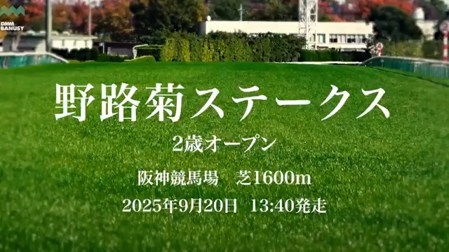 スウィッチインラヴ が 9月20日(土) 阪神競馬場 第8レース 野路菊ステークスに挑みます。 レースの前にスペシャル動画をぜひご覧ください! #BanusySpecialMovie #バヌーシー