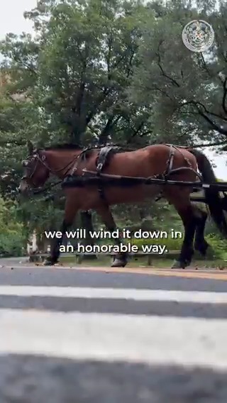 We are ALWAYS ready to sit down with our partners to enact meaningful change in our city, but they must come to the table on the stables. Since we called on the City Council to pass Ryder's Law, we haven't heard a word nor have they taken any action.