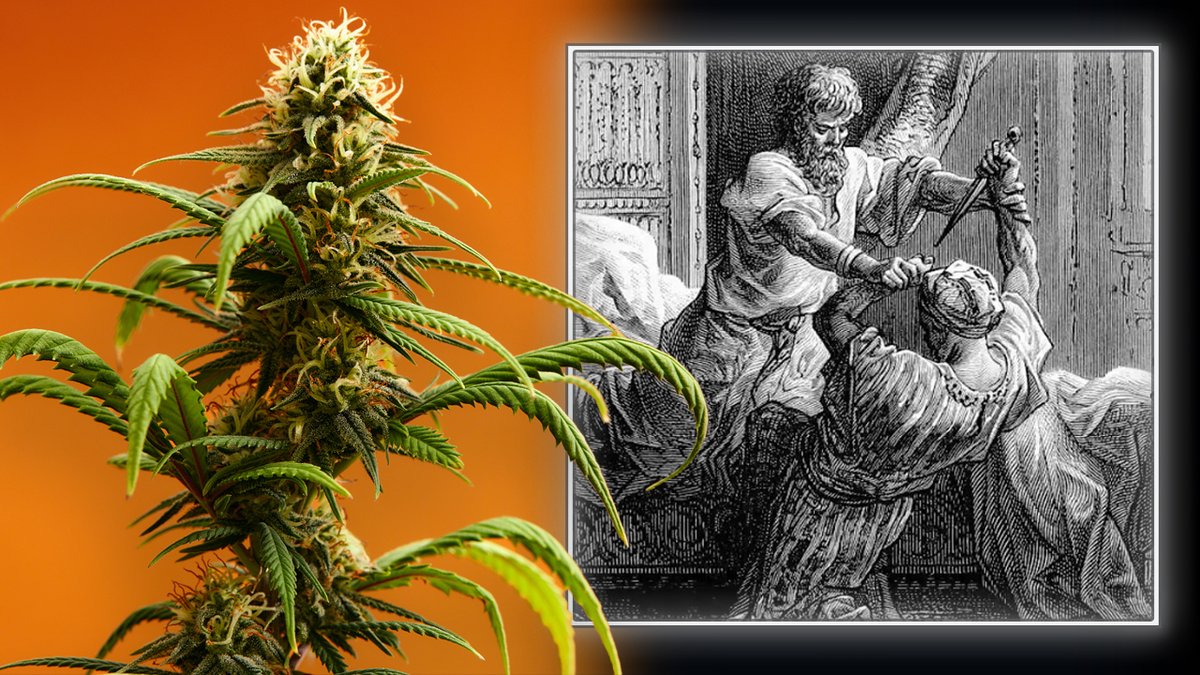 EXCLUSIVE: Michael Savage Exposes The Secret History Of Marijuana &amp; The Hashish Assassins