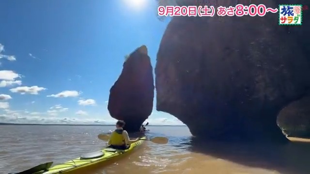 🌏朝だ!生です #旅サラダ ☀️このあと朝8時⏰ 🇨🇦カナダの旅 世界最大級の干満差を体感😍 #江田友莉亜 🍑#ホラン千秋 山形県を巡る旅✨ 趣味のパン屋さん巡り🥐フルーツ狩り 💜生中継 #濵田崇裕(#WESTꓸ) 今週の濵ちゃんは長野県📡 旬のフルーツをリポート 🥹💫 🤵♀️コレうまの旅 岡山市 #大仁田美咲