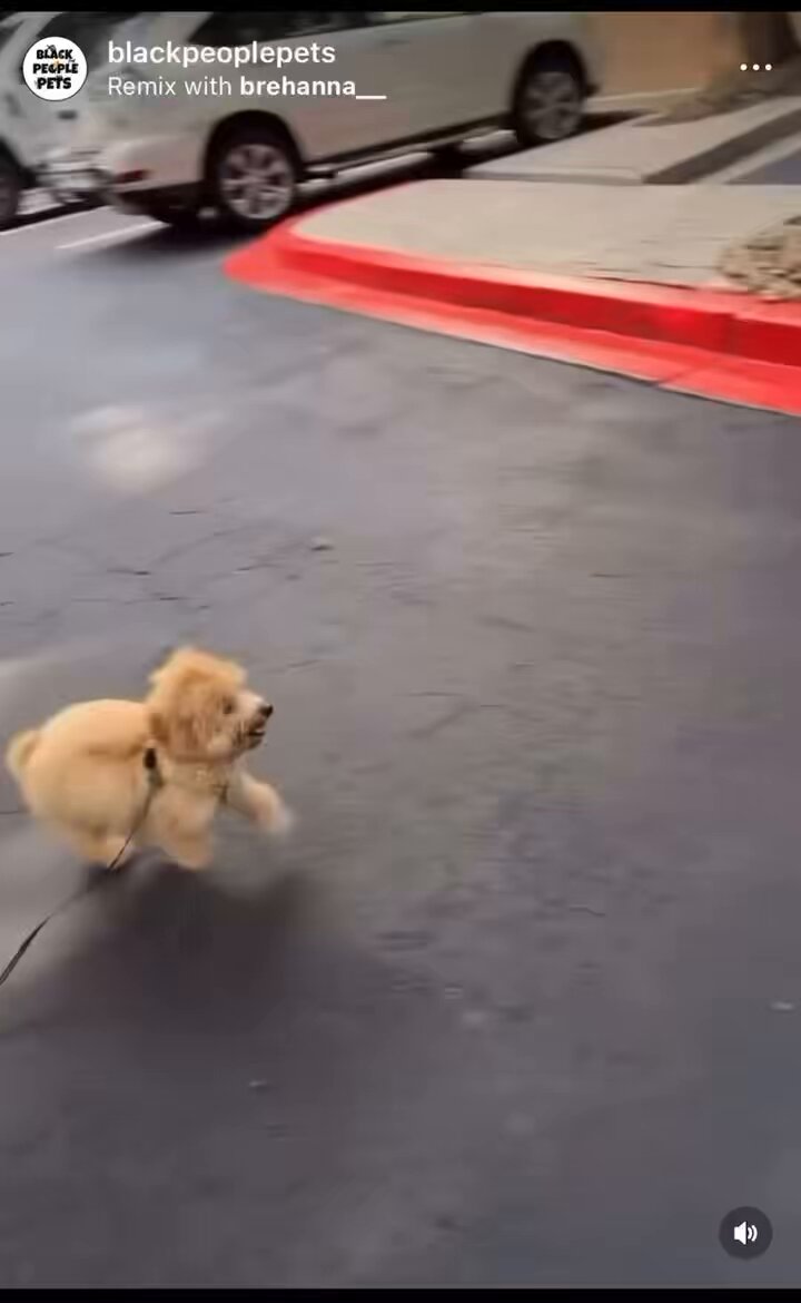 “Theo come on. BOOP! BOOP!” 🤣