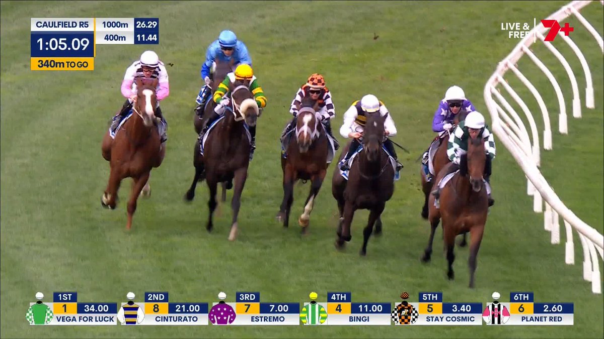 ESTREMO 💜 Another thriller as Ben melham lifts Estremo over the line to with the Caulfield Guineas Preude! Chris Waller Racing Star Thoroughbreds