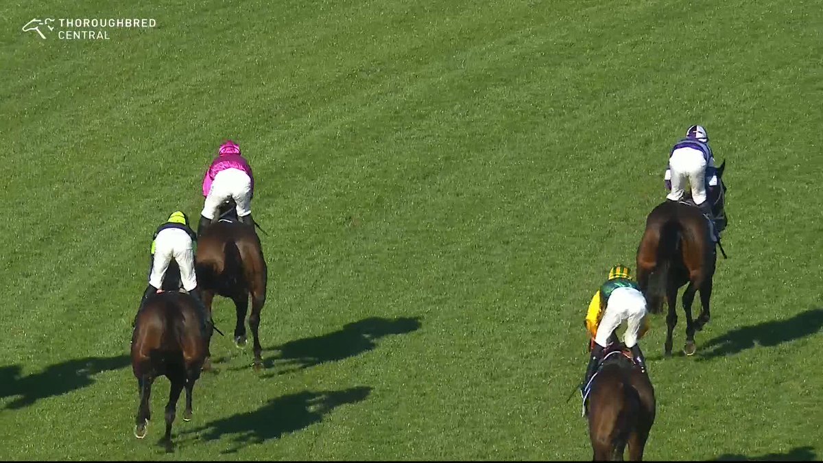 We're all fans! 🙌 Fangirl wins this year's edition of the 7 Stakes! 👏 James McDonald Chris Waller Racing