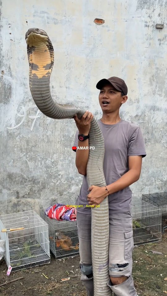 Another reason why women live longer than men