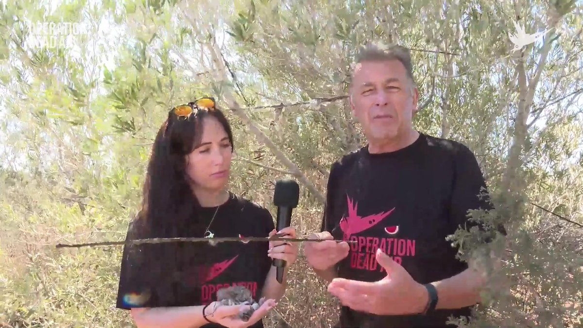 The birds don't stand a chance. Sticks are coated in a glue-like substance, forming a deadly trap. Known as 'lime sticks', birds land on them, struggle and either die or are killed later by trappers. 60 different species have been trapped this way. #OperationDeadAir