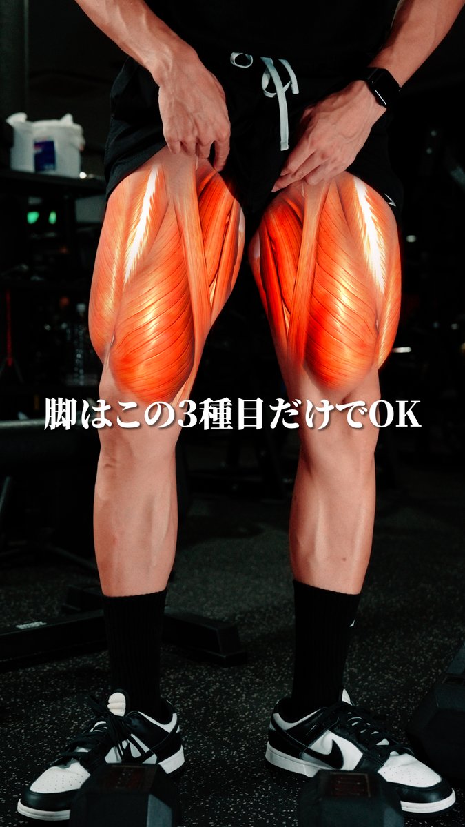 脚トレはとりあえずこの三種目だけやりましょう