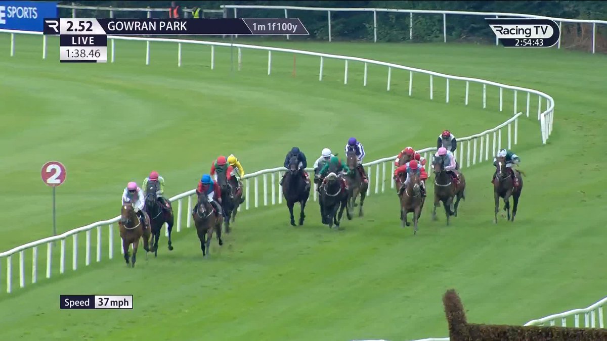 🚀 Facile from Faiyum in the G3 feature Gowran Park