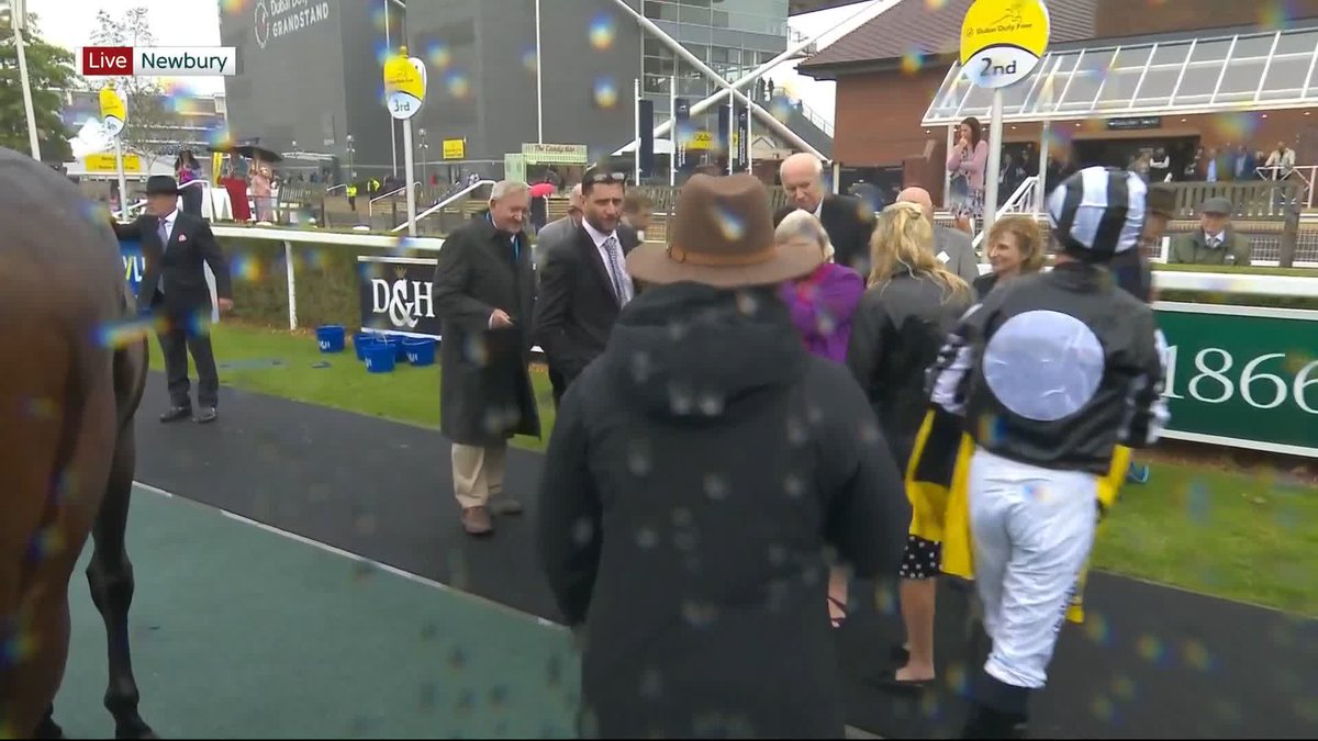 "He's next year's horse" Jim Boyle Racing has plenty to be proud of after Into The Sky's valiant effort in the Mill Reef at Newbury Racecourse...