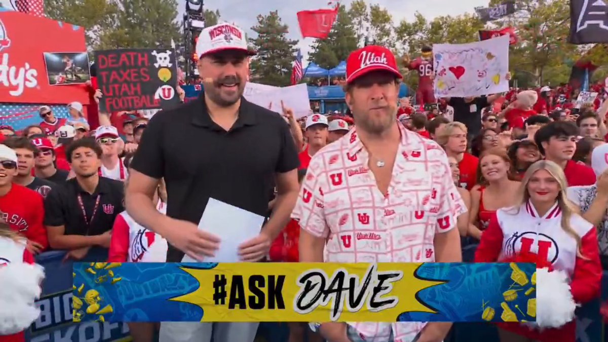 I have the world's worst publicist for #AskDave Big Cat
