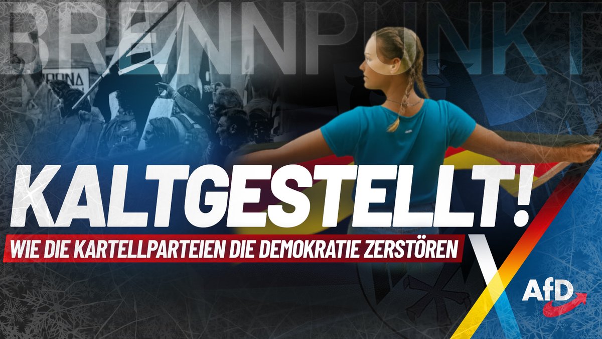 Attacken, Hetze, Wahlausschlüsse: Die AfD wird mit allen Mitteln bekämpft. Unsere Reportage zeigt, wie weit die Kartellparteien gehen, um uns kaltzustellen – und warum wir gerade deshalb gefürchtet sind.