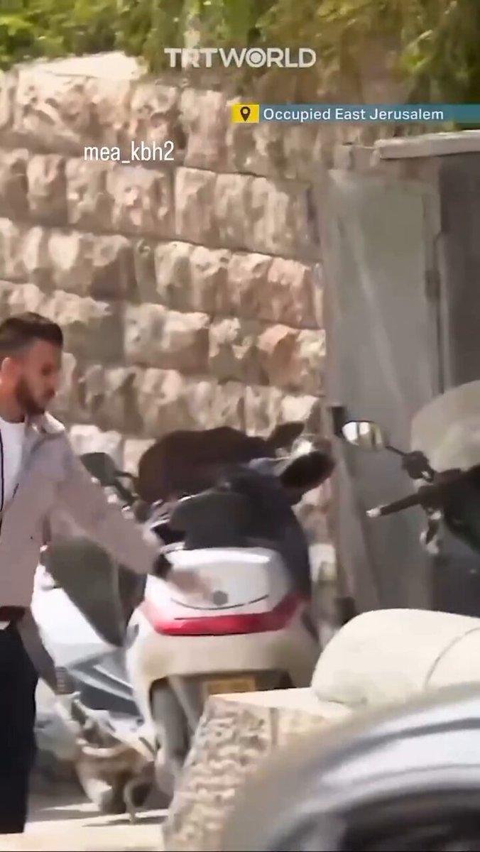 Welcome to Jerusalem. The holy land where Palestinians are hunted like dogs in daylight.