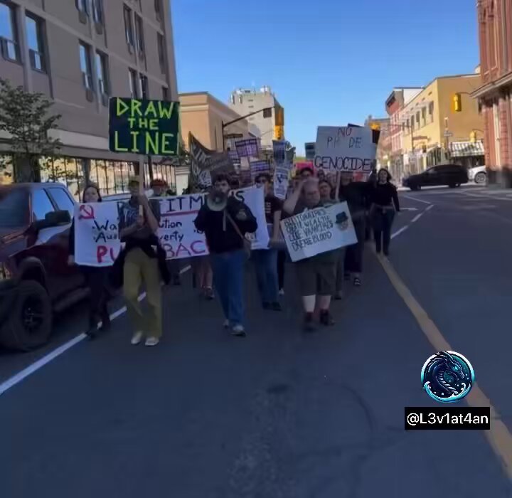 Communists in Peterborough ON came out to march in hybrid of Palestine, Trans &amp; Indigenous rights, and Anti-capitalism.