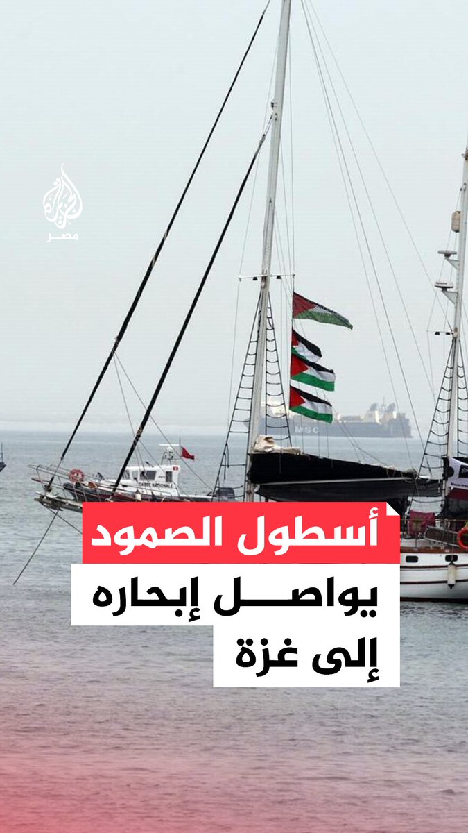 مراسل الجزيرة لطفي حجي يفيد بأن "أسطول الصمود العالمي" لكسر الحصار عن غزة يواصل إبحاره بعد 20 يومًا من انطلاقه مشيرا إلى أن 49 سفينة تبحر حاليا إلى غزة