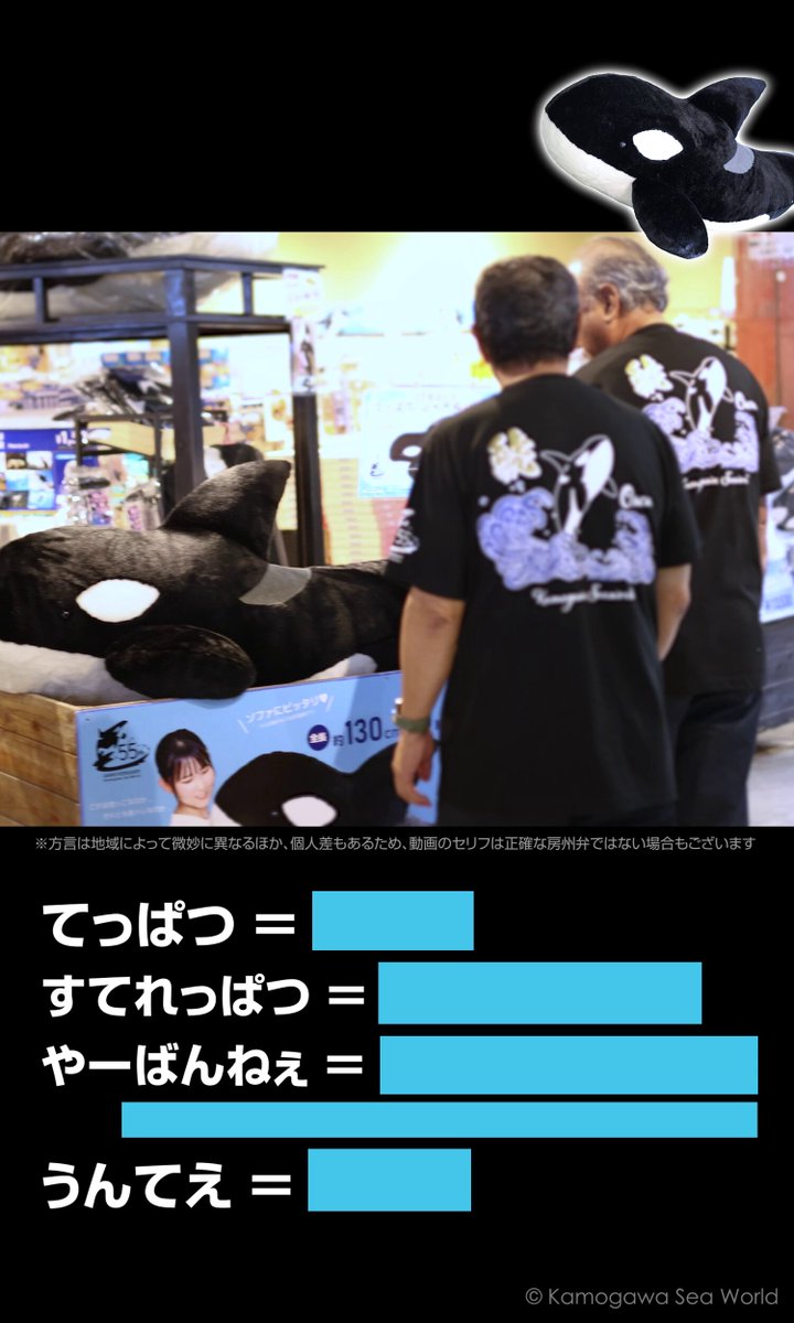 『こらぁ“ てっぱつ ”だねぇ！』 『やーばんねぇっぺ！』 ベテラン社員の房州弁をお届け！！ 55周年記念「てっぱつシャチぬいぐるみ」好評販売中！ （BIGシャチぬいぐるみは「すてれっぱつシャチぬいぐるみ」に改名しました。） 巨大ぬいぐるみシリーズの比較はこちら↓