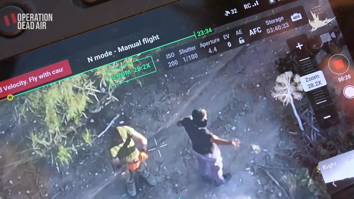 "They're freeing the birds. They know they're being watched". w/ Megan McCubbin Committee Against Bird Slaughter (CABS) LIVE in Cyprus #OperationDeadAir