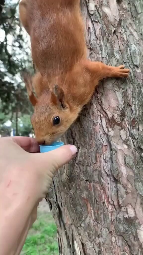 Un geste de bonté envers un animal n’est jamais perdu. ✨