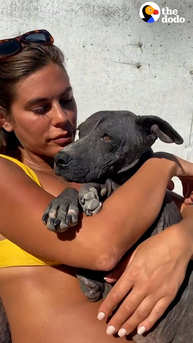 メキシコで8年間野良犬として生きてきた 骨と皮の子が救われて優しい家族と出会い愛され、 世界が大きく変わっていきました...😭
