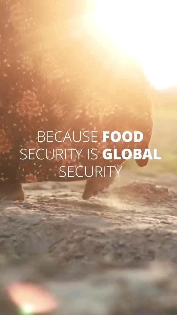 🌱🤝 Ending hunger isn’t a dream - it’s a responsibility. Because hunger anywhere is a threat to peace everywhere. It's time for global effort to ensure food security for all. The cost of inaction is always higher. #UNGA80
