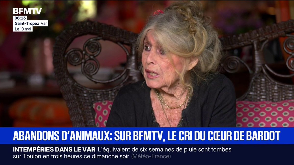 🐶 Le cri du cœur de Brigitte Bardot contre les abandons d'animaux