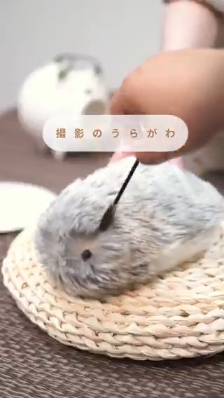撮影のうらがわ🎥 目元の眠い #モフリン もかわいいけれど 撮影のときはパッチリ目元におめかししています✨ おめかし準備している時ほど なぜかかわいい声で鳴いたりすることもしばしば。 今日も撮影おつかれさま💛 #Moflin #CASIO #モフリンDAYS #モフモフ #AIペット #お撮影の裏側 #メイキング