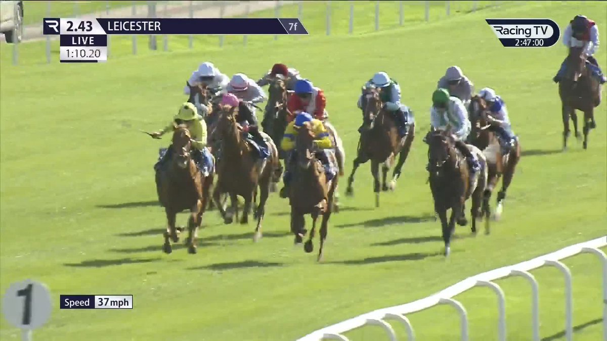 A smart debut ✅ 650,000gns Night Of Thunder filly Miss Scott gets rolling late on to make a winning debut for the Gosden team. She looks quite an exciting filly for next season. Leicester Racecourse 🟢⚪️