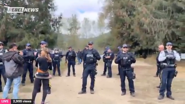 WATCH: Tensions are running high as authorities converge on Universal Ostrich Farms in Edgewood, B.C. ahead of the expected cull of nearly 400 ostriches.
