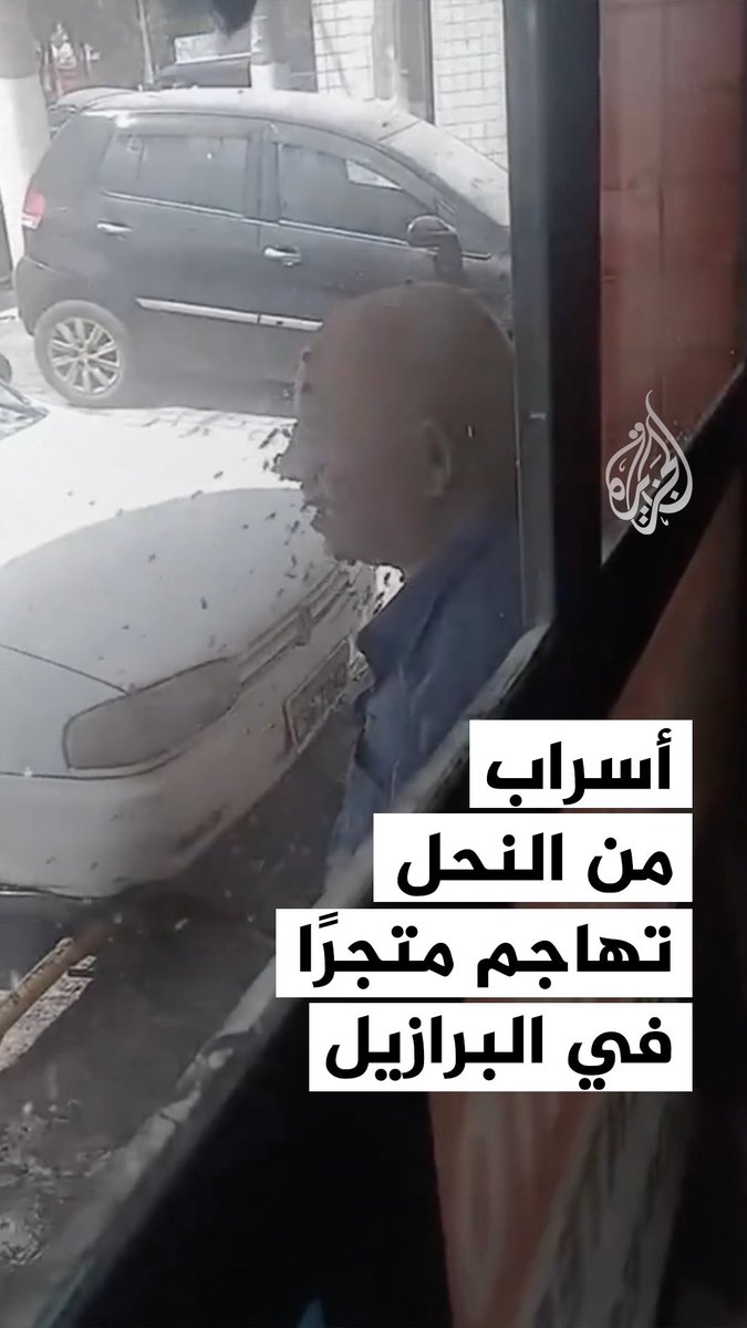 أسراب من النحل تتسبب في مقتل شخص في البرازيل