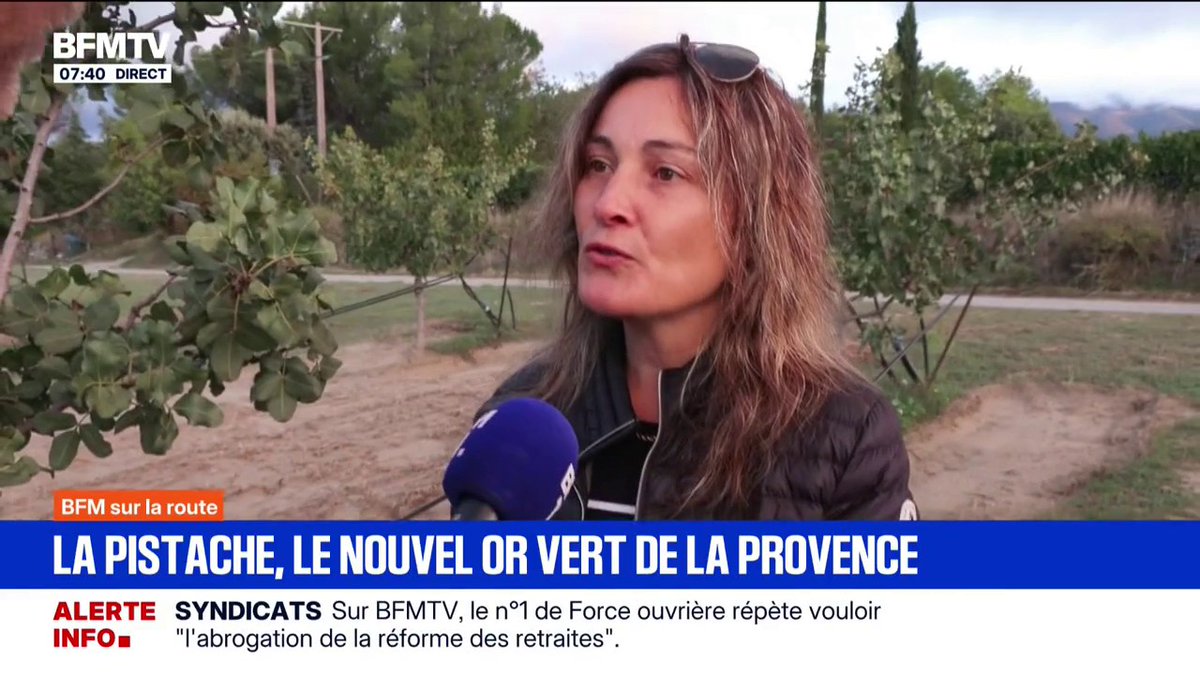 💬 "Ça demande peu d'eau et peu d'entretien" Avec le réchauffement climatique, des agriculteurs se tournent vers la pistache, une espèce plus résistante à la sécheresse