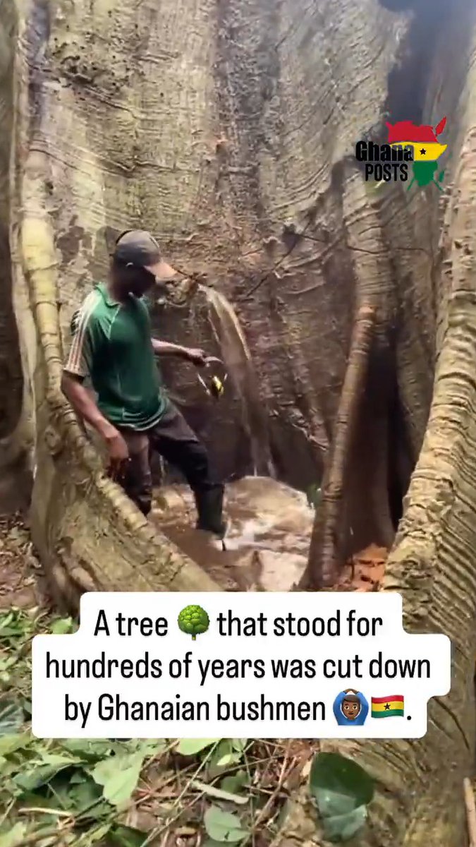 Humans are the worst thing that ever happened to this planet