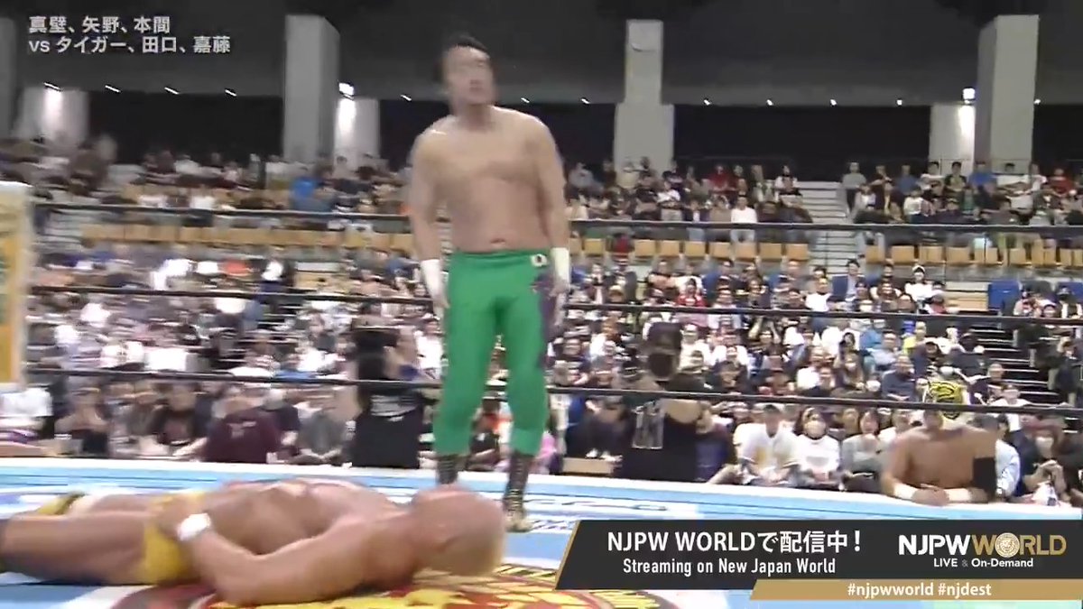 .田口隆祐(いわぬまPR大使) "Electric KOKESHI" From the profile URL #NJPW #njpwworld #njdest