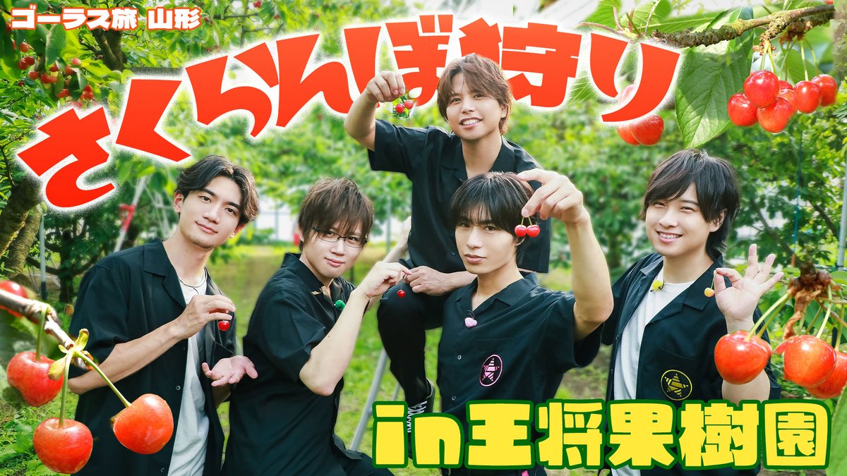 【作戦開始】 第329回「GOALOUS5のGO5（ゴーゴー）チャンネル」プレミア公開をご覧いただいた皆様ありがとうございました！ この後は通常通りYouTubeにてご視聴いただけます。 「#ゴーラス旅」で今回はピンクの故郷、山形へ！ 最初に向かったのはさくらんぼ狩り！ #GO5