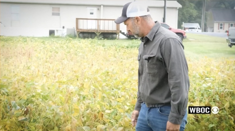 Soybean farmer on the impact of tariffs: "The best way I can explain to somebody, it's like living in a household and your paycheck gets cut by a third or by half. That's what we're facing right now."
