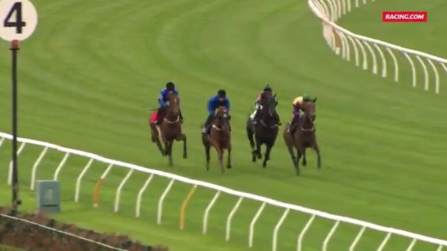 Flemington Jump Out 1 | McGaw Coolmore hopefuls Rosberg, Tentyris, Jimmy Recard and McGaw had a look down the famous Flemington straight this morning 🚀 REPLAYS: