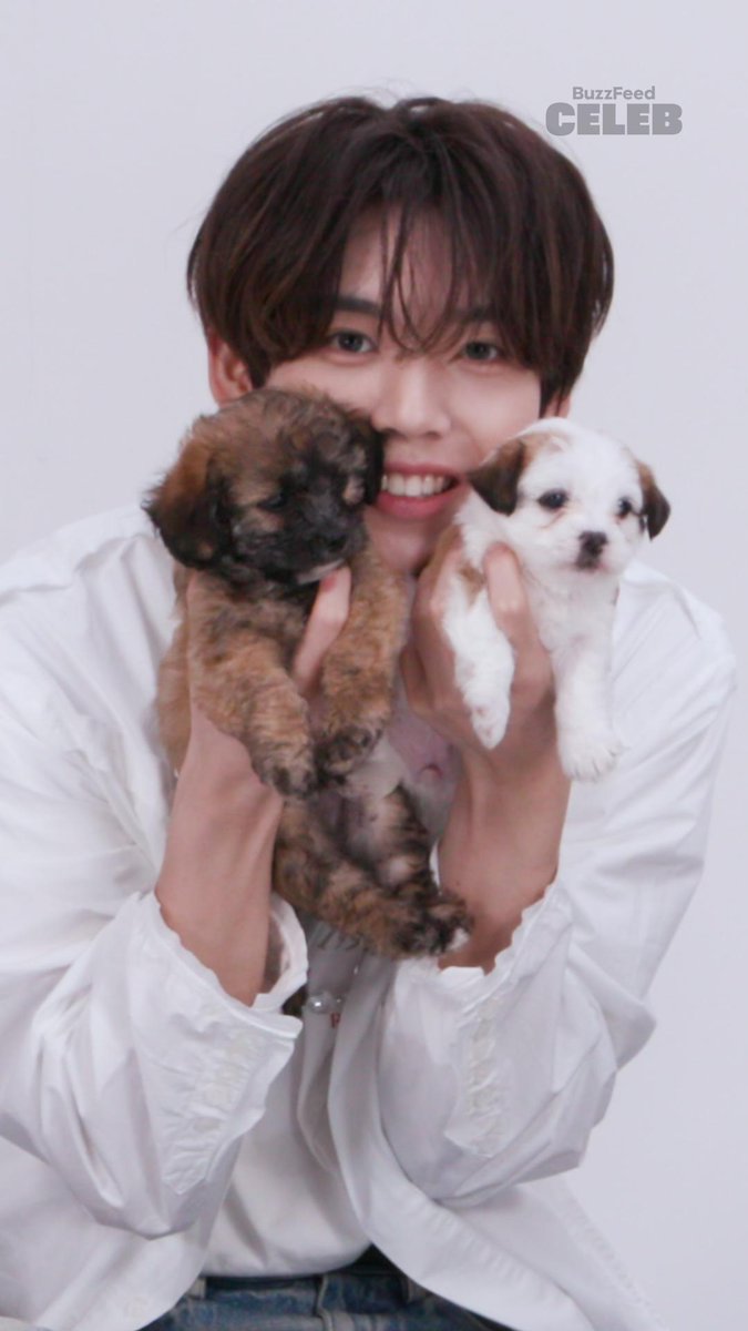 ZEROBASEONE is giving doggie daddy energy in one of the cutest (and fluffiest) puppy interviews yet. Watch ZEROBASEONE play with puppies on BuzzFeed Celeb tomorrow, 9/26 at 12pm PT/3pm ET 🔗: