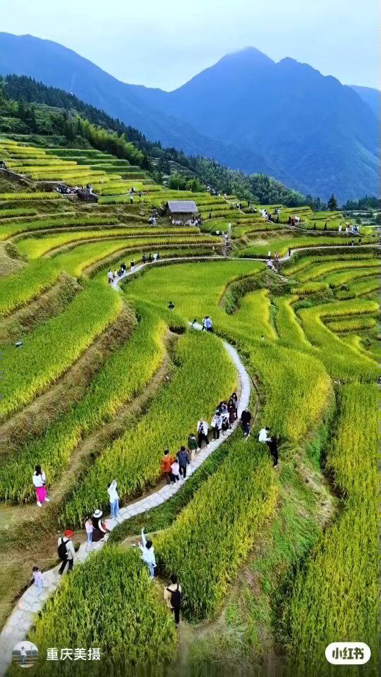 In China, tourists from the city are increasingly taking time to visit rural farms on the weekends and vacations. Home stays, local consumption, and touring farms now brings more money from the cities into rural China.