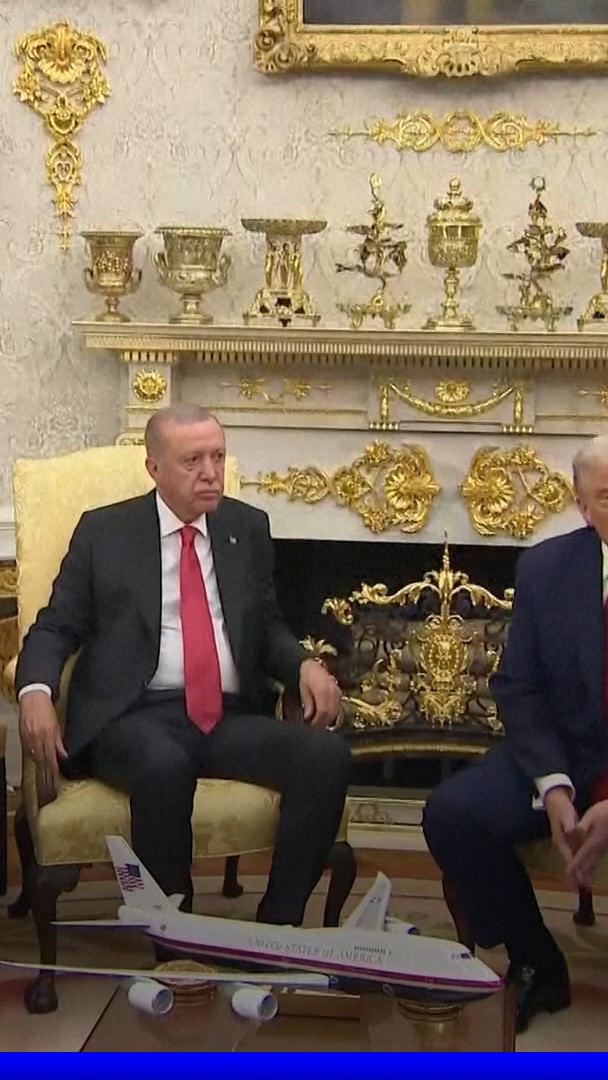 Donald Trump affirme que Recep Tayyip Erdogan s'y connaît "mieux que personne" en "élections truquées"