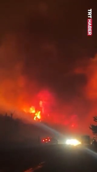 Bursa'nın Karacabey ilçesinde ormanlık alanda yangın çıktı.